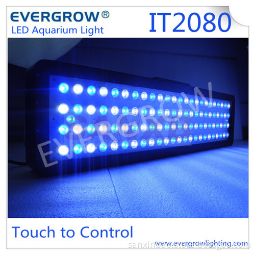 IT2080 240W 99x3W Aquarium Light for Cycle and Sunrise&Sunset (IT2080)